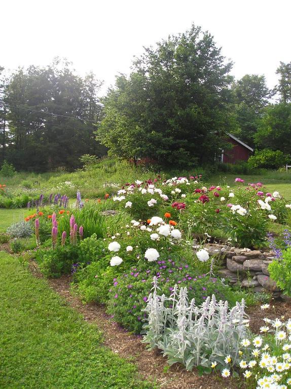 Cooper Hill Inn East Dover Buitenkant foto