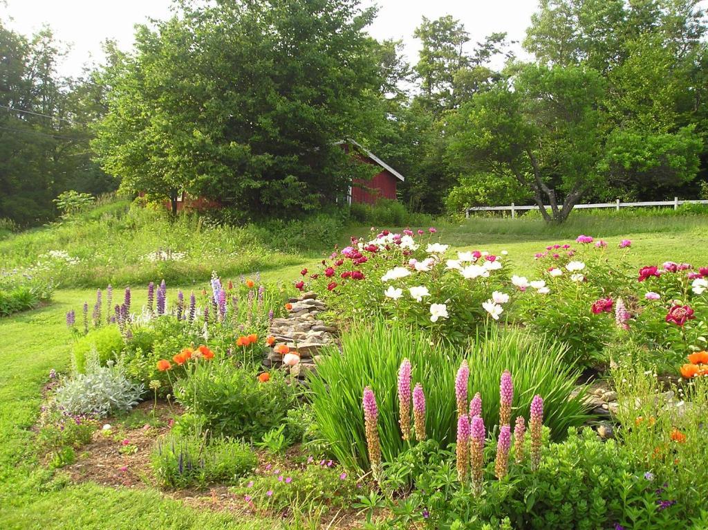 Cooper Hill Inn East Dover Buitenkant foto